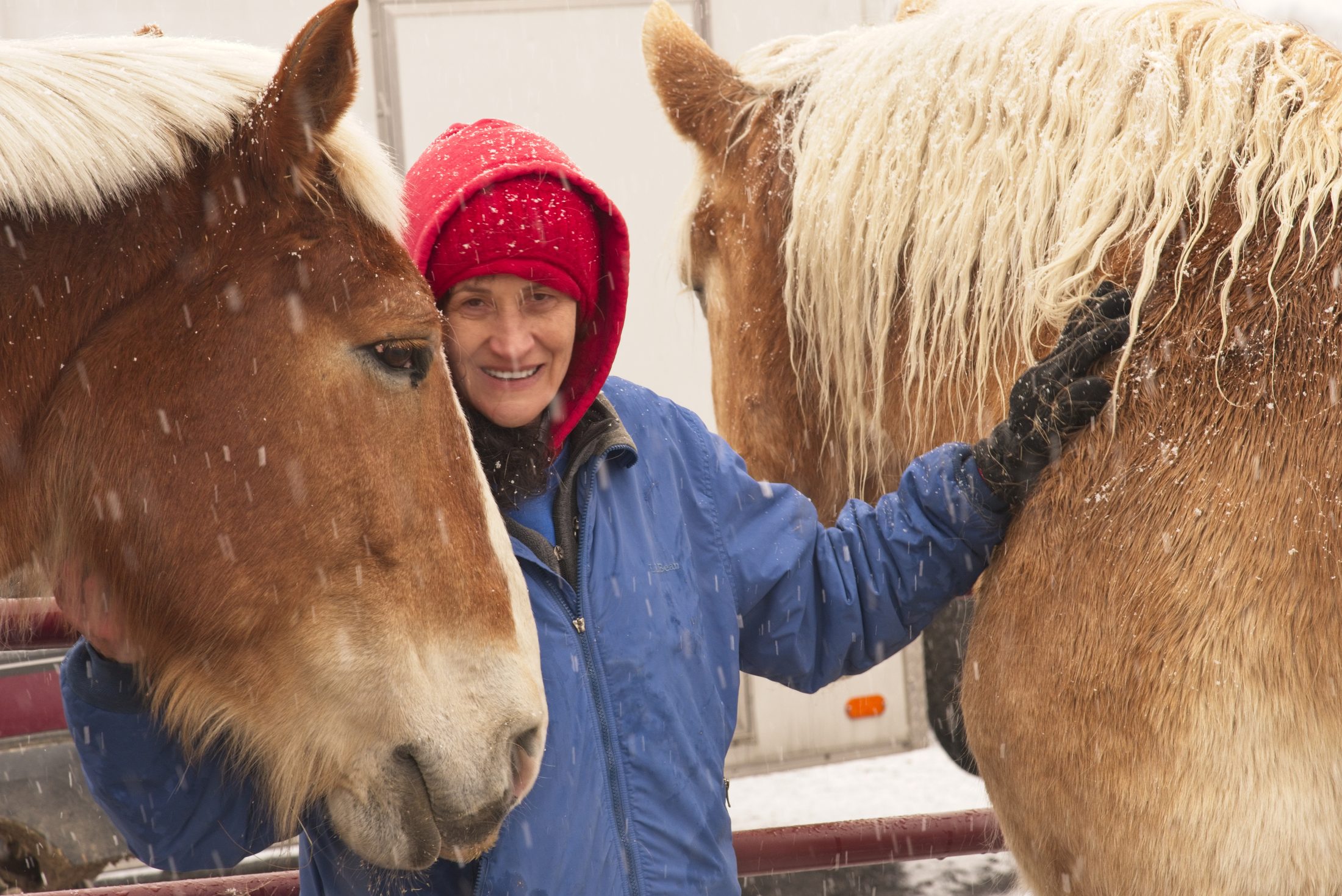 Woman with two horses in the snow