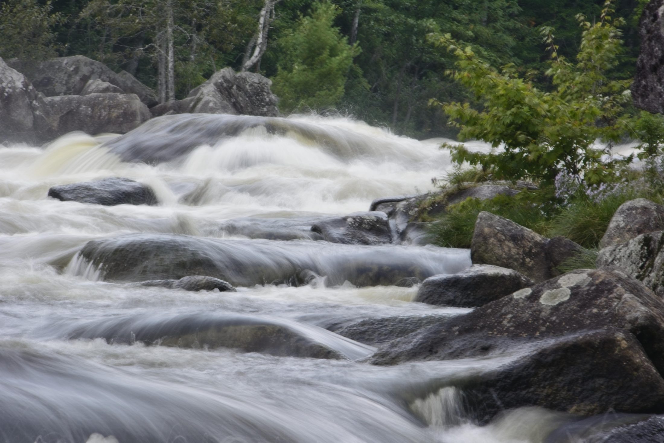 Whitewater rapids over rocks at Big Eddie