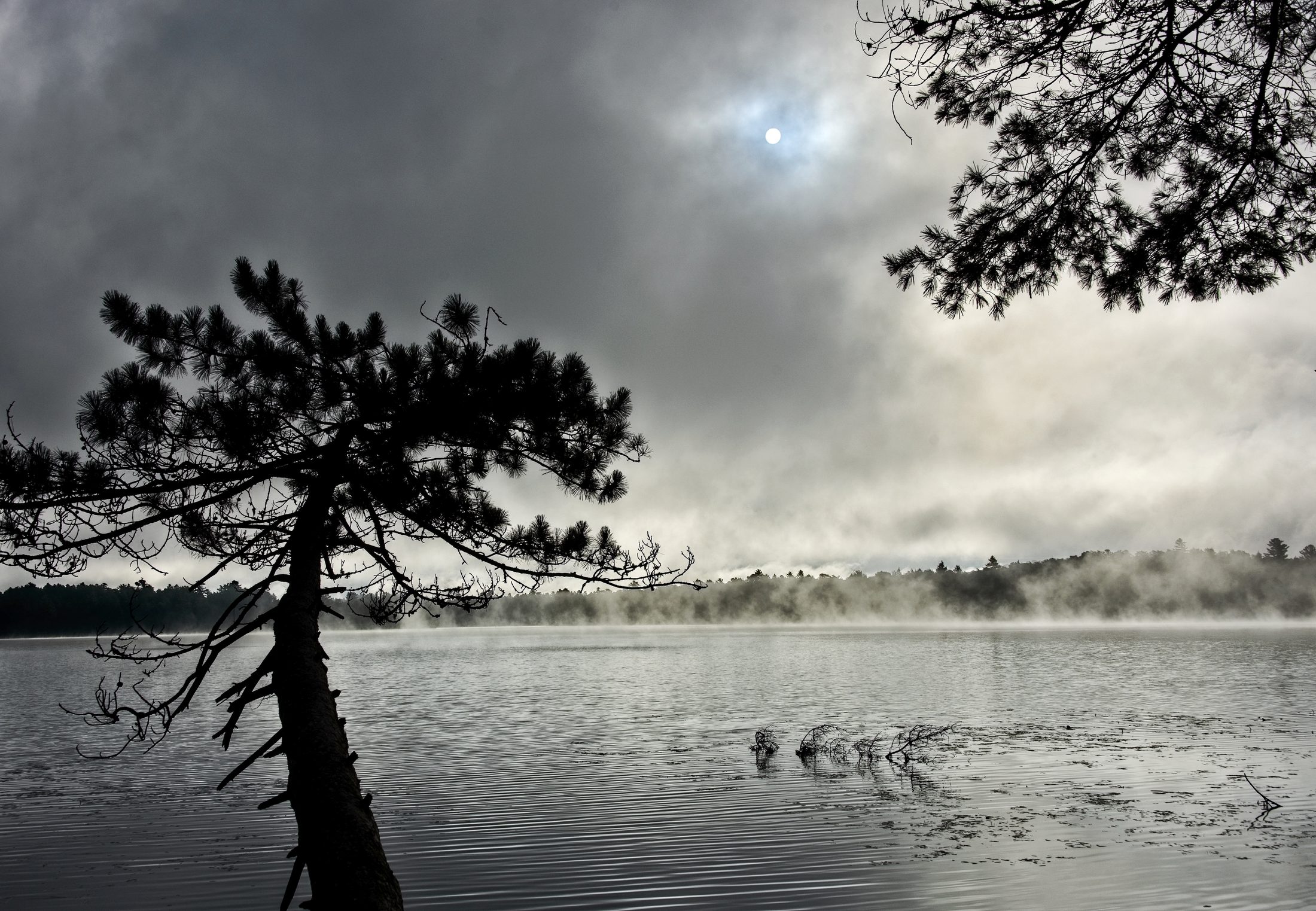 Misty sunrise over Upper Saranac Lake, pine branches framing the shore